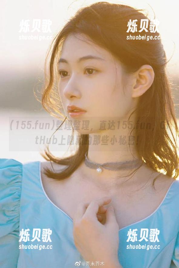 155.fun 整理整理,直达155.fun,GitHub上隐藏的那些小秘密!