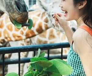 吃瓜最前线首页：朋友们，今天又是什么瓜炸裂了我的生活？