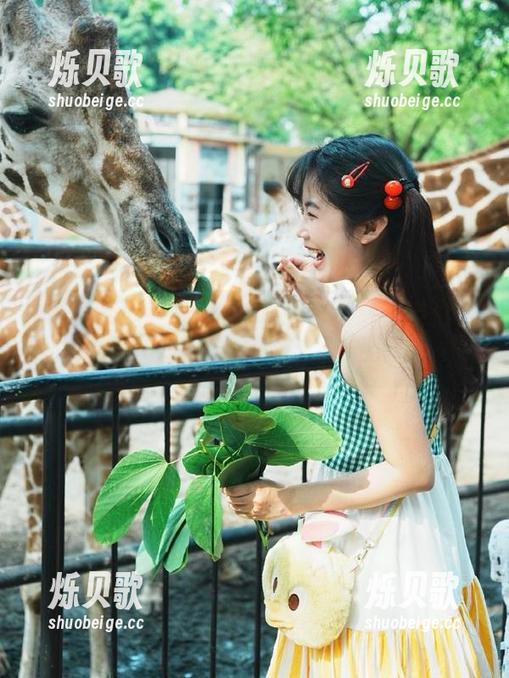吃瓜最前线首页：朋友们，今天又是什么瓜炸裂了我的生活？