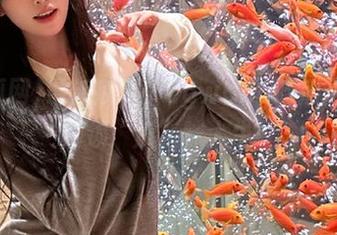 最新瓜事，cgwang吃瓜网陪你解锁“瓜”味人生！