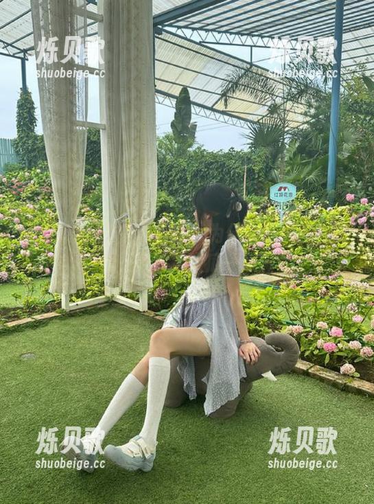 吃瓜网官网：为什么我只想在线观看，跟巴掌大瓜一起嗨！