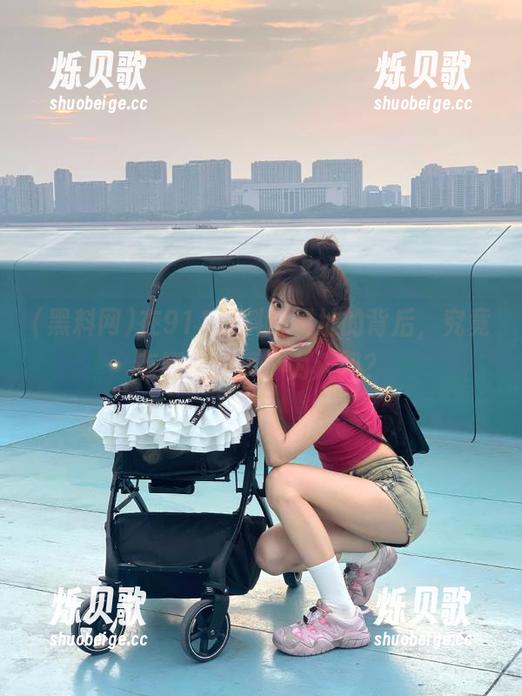 在911黑料网网址的背后，究竟有哪些故事不为人知？